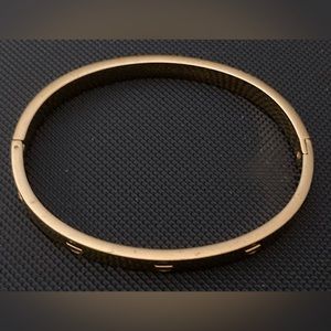 316 L Stainless Steel Gold Tone Hinge Bangle